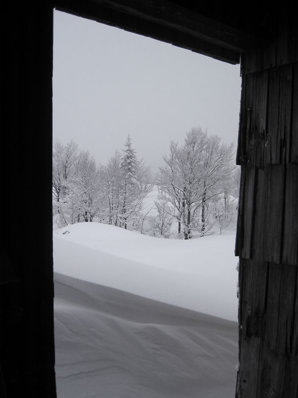 6622: the new snow