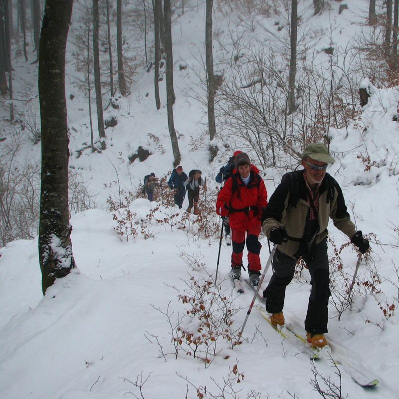 bj116: on the trail